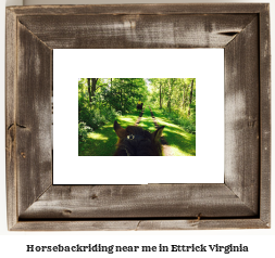 horseback riding near me in Ettrick, Virginia